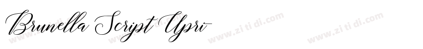 Brunella Script Upri字体转换